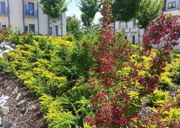 Green Living Hotel Kempten (Allgäu)