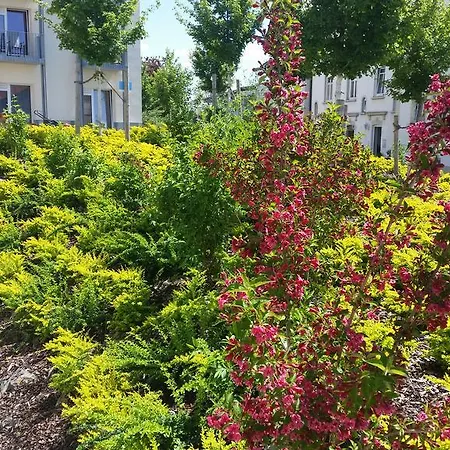 Green Living Ξενοδοχείο Κέμπτεν